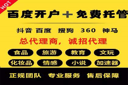 某电商平台的SEM代运营策略及效果评估
